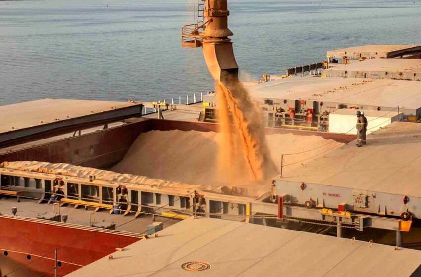 Volume de exportações do agronegócio cresce 40,8% no Paraná